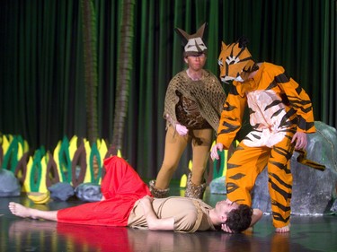 As Mowgli played by Wasef Yasin sleeps, Shere Khan (Issac Post) and Tabaqui (Jessica Orsini) close in during Westminster Secondary's production of The Jungle Book in London, Ont.  Photograph taken on Tuesday April 23, 2019.  Mike Hensen/The London Free Press/Postmedia Network