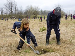 Nicholas Rauwerda, 9, and his buddy Oskar Talach, 10, dig a hole to plant a bush on floodplain next to Medway Creek off of 13 Mile Road north of London. The two were among a group from Matthews Hall school that was planting cedars, soft maples, and bushes that could handle a good soaking from the nearby creek. Mike Hensen/The London Free Press