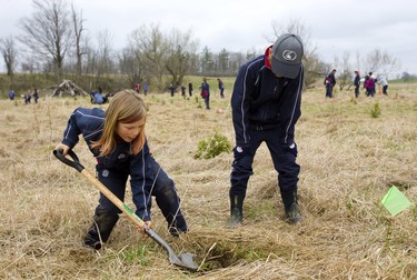 Nicholas Rauwerda, 9, and his buddy Oskar Talach, 10, dig a hole to plant a bush on floodplain next to Medway Creek off of 13 Mile Road north of London. The two were among a group from Matthews Hall school that was planting cedars, soft maples, and bushes that could handle a good soaking from the nearby creek. Mike Hensen/The London Free Press