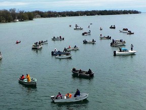 Anglers pack the narrows between lakes Simcoe and Couchiching during the Orillia Perch Festival hoping to catch one of 60 tagged perch worth $500 each. This year's festival runs from April 20 to May 11.