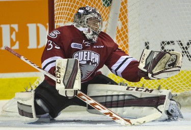 Guelph Storm goalie Justin Nichols flashes out a glove save during their Thursday night game against the Knights at Budweiser Gardens in London, Ont. on Thursday November 6, 2014.  Mike Hensen/The London Free Press/QMI Agency
