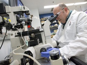 Research technician at the Schulich School of Medicine and Dentistry at Western University. (File photo)