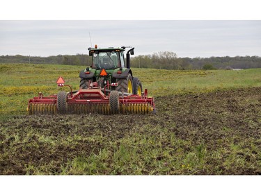 Land is being tilled Wednesday in preparation for planting soon at 48North's Good Farm southeast of Brantford. With 100 acres surrounded by 8,300 feet of chain link and barbed wire fencing, 102 video cameras, infrared and vibration sensors, the farm will be one of the largest outdoor cannabis operations in Canada. The licensed producer received the green light from Health Canada on Friday to begin cultivation on its Brant County farm. (Brian Thompson/Postmedia Network)