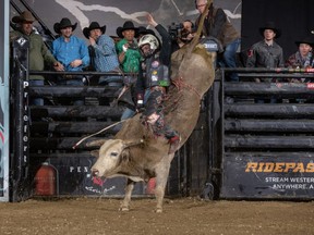 Bull rider Michael Lane is a pro at staying on top of his game. (Andy Watson photo)
