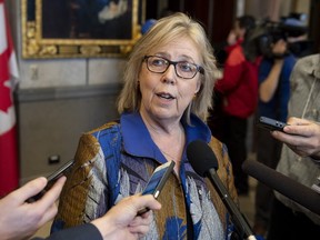 Green Party leader Elizabeth May speaks to reporters after the tabling of the 2019 federal budget. (CANADIAN PRESS/Justin Tang)