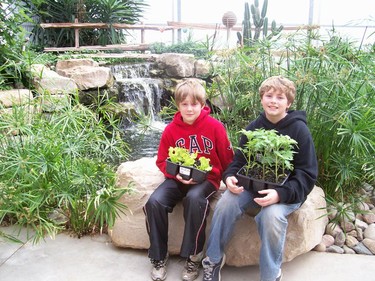 This is near the front door of The Flower Ranch. Lucas and Jackson are holding some lettuce and grape tomato plants we bought. I definitely recommend this garden centre! (ROBIN HARVEY, The London Free Press)