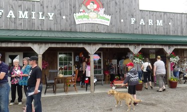 Thousands of guests visited Leaping Deer Adventure Farm near Ingersoll as one of the stops on this year's Shunpiker mystery tour, 2015. CONTRIBUTED