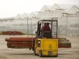 A load of lumber gets moved out of the way Thursday at the new Beleave greenhouses on Wellington Road just south of Glanworth in London.  (Mike Hensen/The London Free Press)