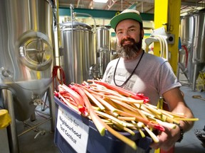 Jim MacDonald of London Brewing holds a big tub of donated rhubarb stalks that will go into the brewery's Neighbourhood Tart seasonal beer.  Mike Hensen/The London Free Press