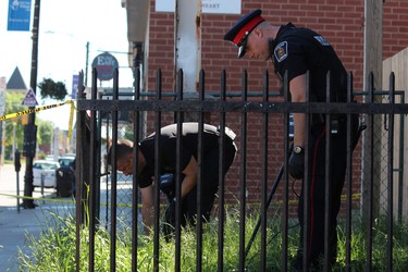 London police officers use metal detectors to search the grass in front of a Dundas Street property as part of a shooting investigation on Friday, June 21, 2019. (DALE CARRUTHERS, The London Free Press)