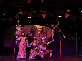 Tiffany Claire Martin, left, Lucy Meanwell, Gil Garratt, Julie Tamiko Manning, Tony Munch, Kurtis Leon Baker and Mark Segal star in the Blyth Festival production of Jumbo, a play by Sean Dixon about the night the world-famous circus elephant was killed by a freight train in St. Thomas in 1885.