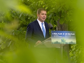 Conservative Leader Andrew Scheer delivers a speech on the environment in Chelsea, Que. Wednesday June 19, 2019. THE CANADIAN PRESS/Adrian Wyld