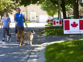 Amy and Eddie Phillipo walk their dogs Bosco, Bobo and Odie through a Pond Mills townhouse complex that has gone all in on Canada Day. Dean Harrison, a resident organized gathering over 25 Canada Day signs for his neighbours. (Mike Hensen/The London Free Press)