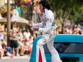 Fans cheer on the Elvis tribute artists at the popular car parade in Collingwood.
