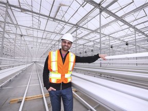 In this April 11, 2019, file photo, Tony Abbas, general manager of PharmHouse, is shown inside one of the greenhouse areas under construction at the company's Leamington facility at Highway 77 and Mersea Rd. 11. Health Canada has now granted PharmHouse a cultivation licence.
