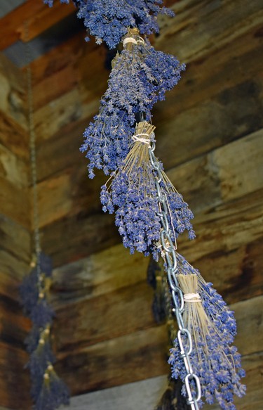 Dried lavender is both beautiful and functional, hanging in the garden shed of of the Charlevoix heritage farm.
BARBARA TAYLOR London Free Press