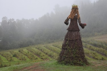 Farmers along Charlevoix's Flavour Trail are paired with artists whose creations stir the imagination like this mystical woman watching over Omerto's tomato field at Baie-Saint-Paul.

BARBARA TAYLOR The London Free Press