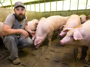 Stewart Skinner, of Listowel, thinks Canada should diversify its pork exports to other Asian countries such as Vietnam, South Korea or Cambodia (Mike Hensen/The London Free Press)
