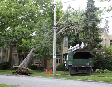 Saturday night's storm caused this tree to fall onto a house at 235 Hyman Street in London, Ont. (Derek Ruttan/The London Free Press)
