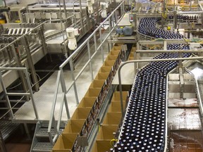 1000's of Labatt's Blue bottles trundle down a conveyor belt before being put into cases at the Labatt's plant in London. (File photo)