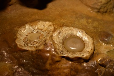 The Fried Eggs rock formation on the Luray Caverns tour is one of the smaller wonders, close to life-sized and appears to be on a shelf as visitors pass by.
BARBARA TAYLOR The London Free Press
Luray Caverns, Virginia
June 2019