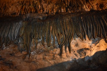 This array of stalactites in Luray Caverns is known as the Fish Market.  Guided tours of the fascinating 2.4- km trek take about an hour winding through narrow passages and enormous cathedral-sized rooms.
BARBARA TAYLOR The London Free Press
Luray Caverns, Virginia
June 2019