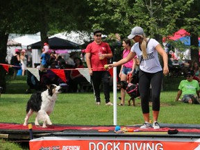 Hilary Dewan waves a toy at her dog Roo during the dock diving competition at Pawlooza, 2018. (The London Free Press file photo)