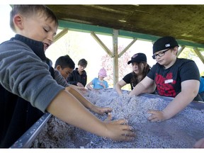 Locke’s elementary school pupils form sand mountains as they learn about erosion at the Children’s Water Festival at Fanshawe Lake Conservation Area in May 2016. The Upper Thames River Conservation Authority is warning the festival and other programs are on the chopping block because the province has told conservation authorities to wind down non-core programs. (Free Press file photo)