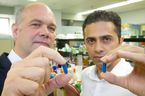 Lawson researchers Jeremy Burton and Saman Maleki hold up capsules like those which will be used for research into fecal transplants for patients with melanoma in London, Ont. Photograph taken on Friday August 16, 2019. Mike Hensen/The London Free Press/Postmedia Network