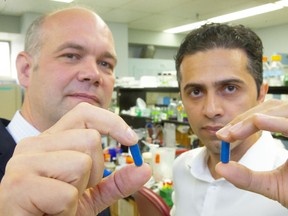 Lawson researchers Jeremy Burton and Saman Maleki hold up capsules like those which will be used for research into fecal transplants for patients with melanoma in London, Ont. 
Photograph taken on Friday August 16, 2019. 
Mike Hensen/The London Free Press/Postmedia Network