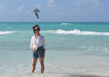 Free Press travel editor Barbara Taylor doesnt have to wait long for a pelican to fly past for a photo on the beach of Grand Memories resort, Cuba.
WAYNE NEWTON/SPECIAL TO THE LONDON FREE PRESS