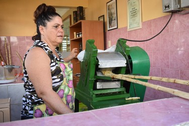 Mireya presses sugar cane to extract the ÒguarapoÓ juice then offered to visitors. Cane juice is used to make rum. 
BARBARA TAYLOR/THE LONDON FREE PRESS