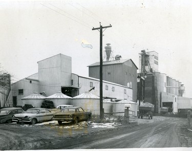 Master Feeds in Komoka building a $30,000 structure to house new offices and a general farm and gardening supply store, 1967. (London Free Press files)