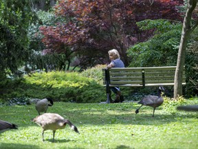Cheryl Fraser relaxes on a park bench after a walk in Springbank Park in London, Ont. on Friday August 2, 2019. She has a daily routine of getting some exercise in the park before curling up  with a good book. "It's really pretty here," she said. Derek Ruttan/The London Free Press/Postmedia Network