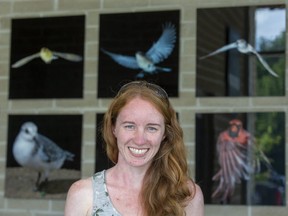 Lauren Witterick is one of the authors of a study on the effects of predator noises on the brain chemistry of Chickadees at Western University's Advanced Facility for Avian Research  in London. (Derek Ruttan/The London Free Press)