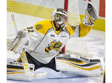 Sarnia Sting goalie Cameron Lamour flashes the leather and snags a London Knight shot during the first period of their game in London, Ont. on Friday August 30, 2019. Derek Ruttan/The London Free Press/Postmedia Network