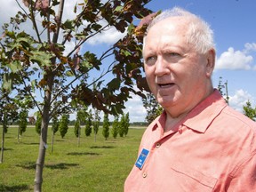 Rene McKinnon, the former president of the London Canadian Air Force Association 427 (London) on Crumlin Road, shows off the trees in their Vimy Park. McKinnon says the park is already established, and that the city doesn't need another Vimy park on Trafalgar. (Mike Hensen/The London Free Press)