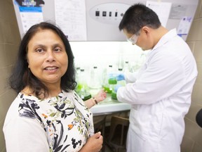 Dr. Mita Ray, the head of Western's new WesternWater Centre, talks about the work of Ph. D candidate Ziming Zhao on algae in her lab at Western University.  Ray says that although Canada is blessed with fresh water, it still needs to be monitored. Algae blooms are a huge problem said Ray, and Zhao is studying the "disinfection byproducts of algal matter."  (Mike Hensen/The London Free Press)