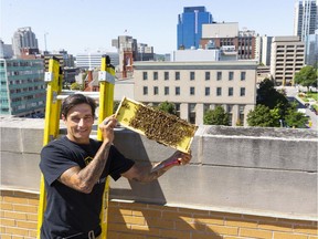 Dan Heffernan of Heff's Hives in London shows off a frame from one of his two beehives on the roof of the Canada Life building on Dufferin Avenue in London on Wednesday.  Even though the former London Life building is in the city's core, honey bees can roam up to about three kilometres, making many city and residential flowers potential food sites (Mike Hensen/The London Free Press)