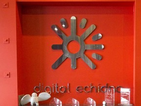 The Digital Echidna logo.
