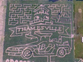 The Thamesville Corn Maze design this year features Thamesville's slogan - Crossroads to the Future - as well as the DeLorean from the Back to the Future movies, which is meant to tie in to an event in Thamesville called Crossroads Back to the Future. (Handout/Postmedia Network)