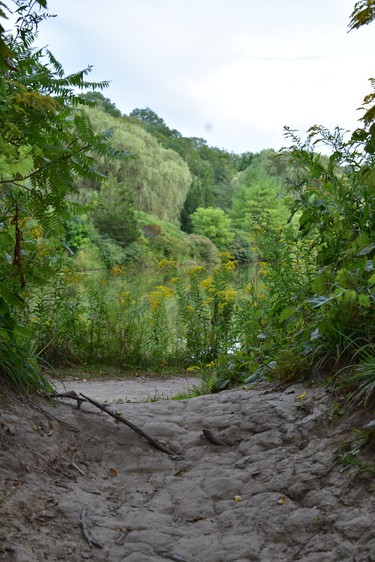 Wide paths wind through the park and around the reservoir surrounded by golden rod this month. (BARBARA TAYLOR, The London Free Press)