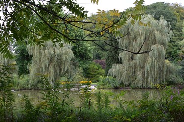 Waterworks Park is the oldest park in St. Thomas and perhaps, the most beautiful. It's open year-round, located at 2 South Edgeware Rd. (BARBARA TAYLOR, The London Free Press)