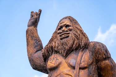 The Sasquatch sculpture on the Hamilton Road tree trunk tour was inspired by the Bobnoxious song EOA, which references the tree carvings. (MAX MARTIN, The London Free Press)