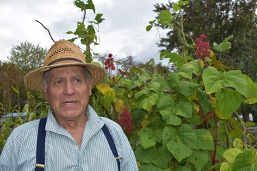 Gardener Ezio Cucinelli has volunteered at Fanshawe Pioneer Village for 29 years.
 (BARBARA TAYLOR, The London Free Press)