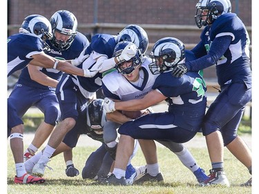Six Laurier Rams gang-tackle Parkside Stampeder George Denniss during in TVRA action in London on Thursday. (Derek Ruttan, The London Free Press)