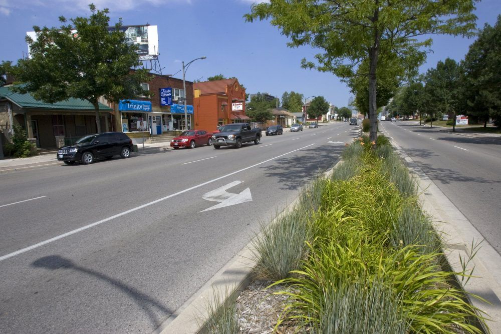 Critics chop up London's treeprotection bylaw, politicians urge