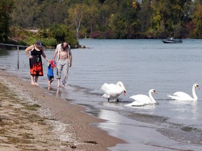 With temperatures soaring to tie record levels, Jacob Fraser-Morrison, 2, and his parents Gillian Fraser, left, and Paul Morrison stroll along the sandy lakeshore at Sand Point Beach Tuesday October 1, 2019. Record high temperatures were reported in the Windsor and Detroit communities.