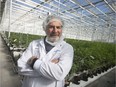 Aphria's Leamington greenhouses boast over 600,000 growing cannabis plants. Standing in front of thousands of them during a visit to the Leamington facility Oct. 23, 2019, is interim CEO and board chair Irwin Simon.