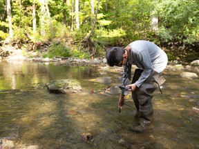 Aayan Khan, 11, of Sir Arthur Currie elementary school takes a water temperature measurement in Medway Creek in London on Tuesday Oct. 1, 2019.  Start.ca has partnered with the Upper Thames River Conservation Authority to fund an initiative in London which will allow Grade 7 and 8 pupils to study the environment and look for solutions to local environmental problems. (Mike Hensen/The London Free Press)